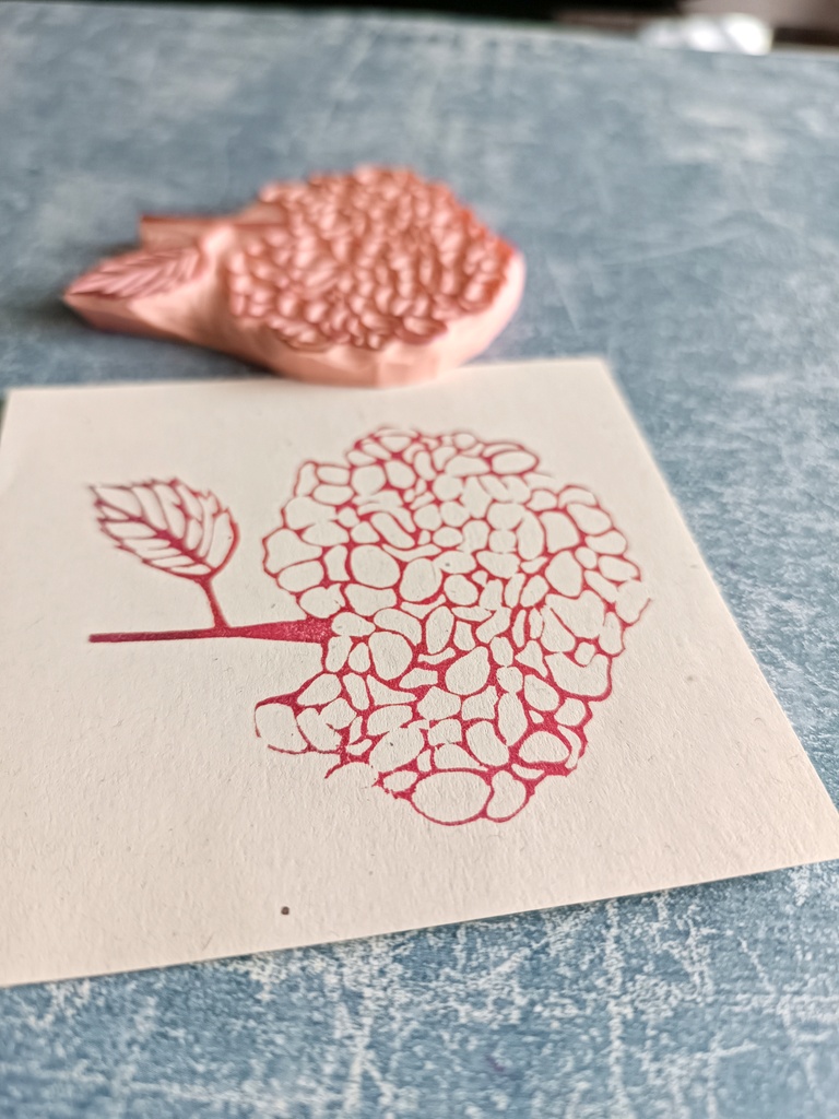 Hortensja - obrazek 3