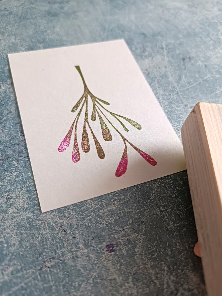 Jemioła - obrazek 3