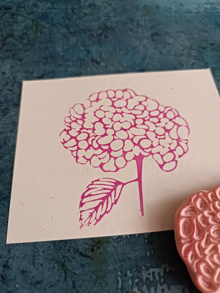 Hortensja - obrazek 5