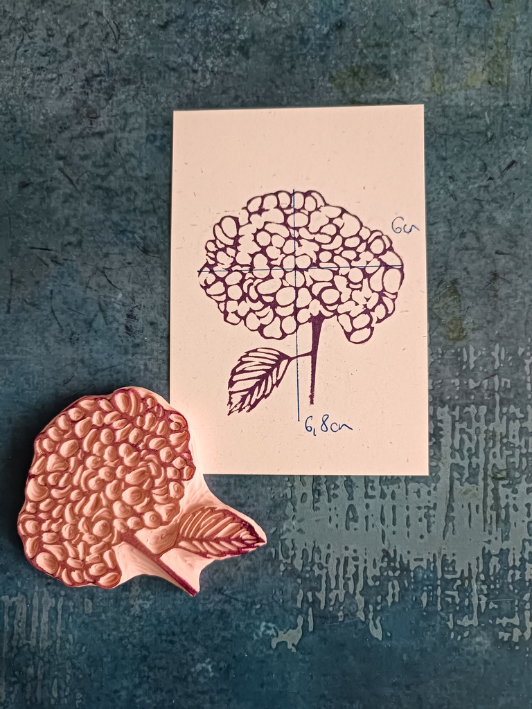 Hortensja - obrazek 6