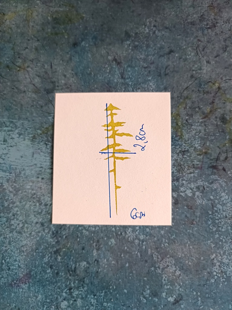 Drzewo 2 - obrazek 4